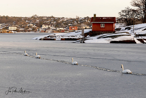 Øradundet, Hvasser