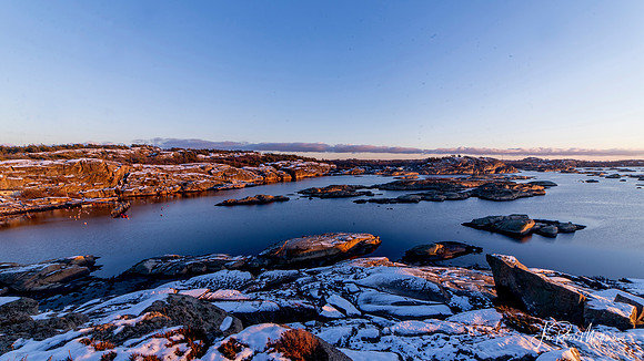 Goneskjæra