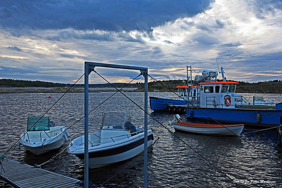 Langvika