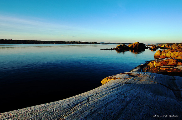 Barkevika I