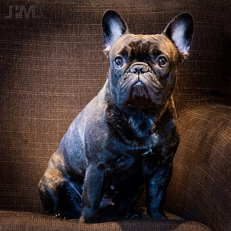 Lola